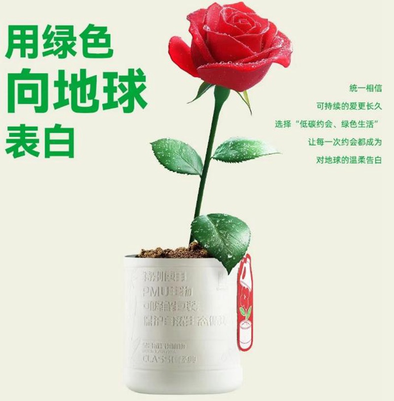 统一「瓶中树」用绿色科技诠释可持续浪漫