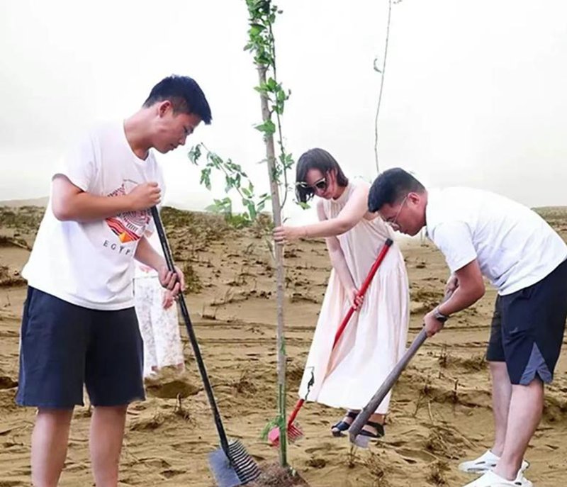 爱地球 统一行天下｜八月撒哈拉，用汗水浇灌沙漠新绿