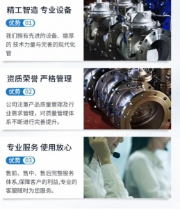 水锤消除HH44微阻缓闭止回阀 法兰连接 铸钢材质鼎力阀门