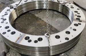 定制非标件Inconel601法兰 合金法兰盘 c276船用
