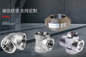 90°承插弯头 06Cr19Ni10 DN25 CL3000