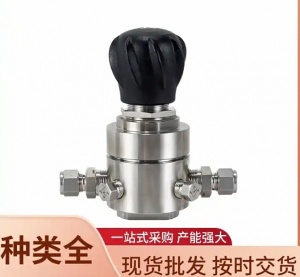 316微型高中低压减压阀 实验室精密阀门流体阀SS-8011